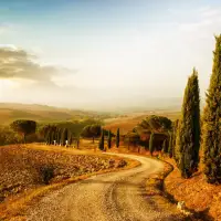 Momentum continues for fine wine market in October