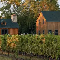 Niagara’s Hidden Bench: Just quietly making some of the finest wines in Canada