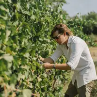 Santiago Marone Cinzano: ‘my generation wants wines that are ready to drink