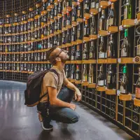 BC Winemaker’s Harvest 2025 Interview