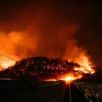 Napa wildfires threaten vineyards as harvest approaches