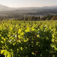 Off the Beaten Path: Vancouver Island’s Cowichan Valley