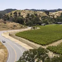 Wine tourism now accounts for a quarter of global winery revenue