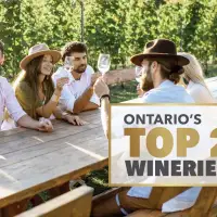 Ontario’s Top 20 Wineries of 2025