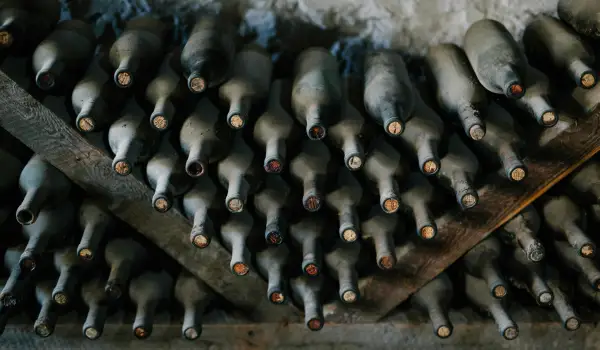 Possible effect of wine on bone mineral density