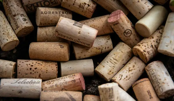 U.S. Report Questions Integrity of Canadian Alcohol/Health Policy