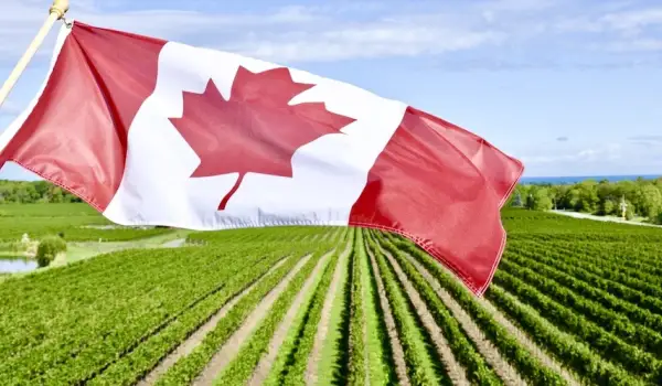 2025 National Wine Awards of Canada Results