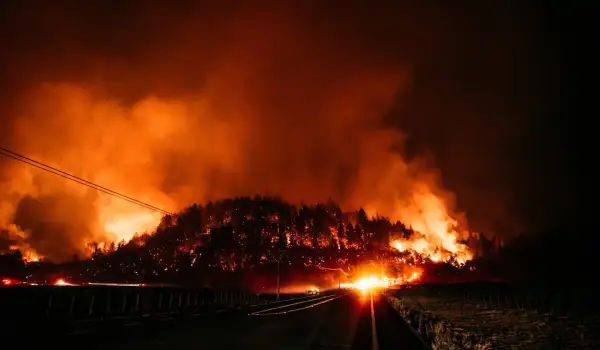 Napa wildfires threaten vineyards as harvest approaches