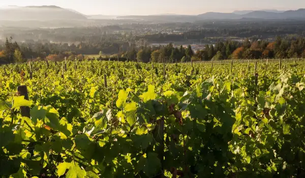 Off the Beaten Path: Vancouver Island’s Cowichan Valley