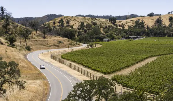 Wine tourism now accounts for a quarter of global winery revenue